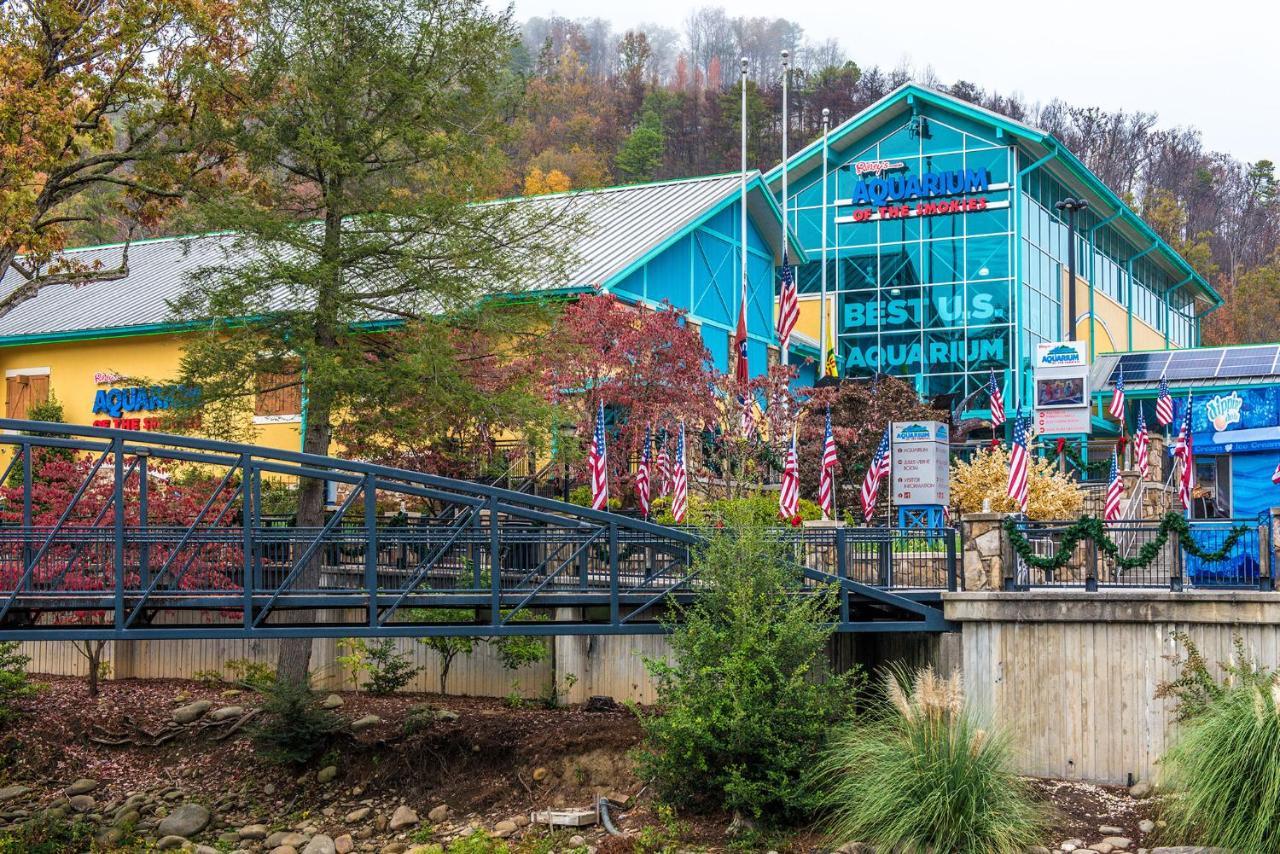 Bear Cub Retreat Gatlinburg Exterior foto